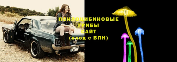 гашик Абдулино