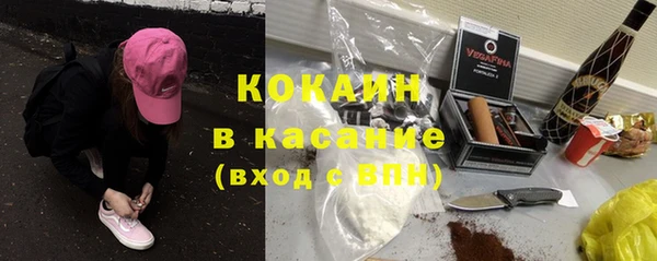 ГАЛЛЮЦИНОГЕННЫЕ ГРИБЫ Абаза